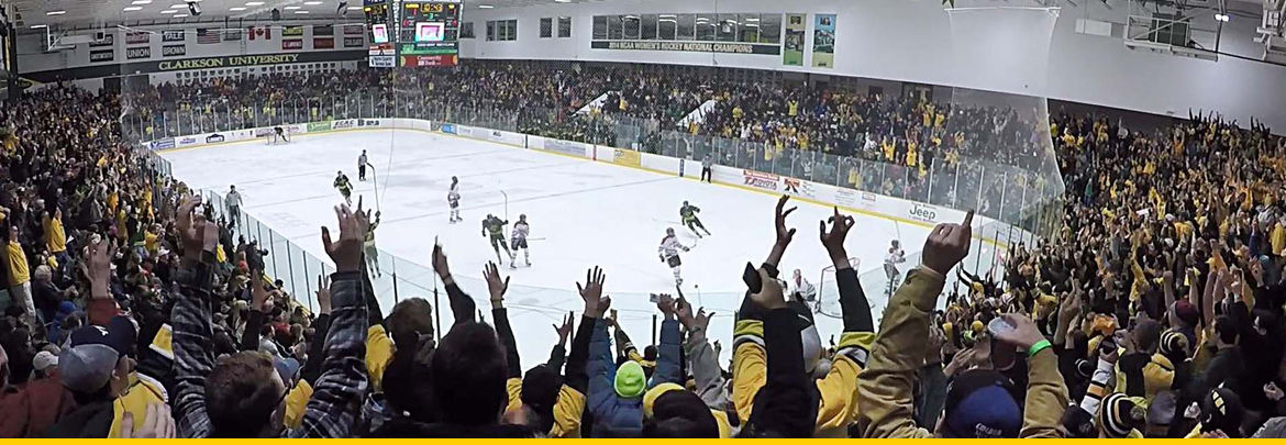 excited fans
